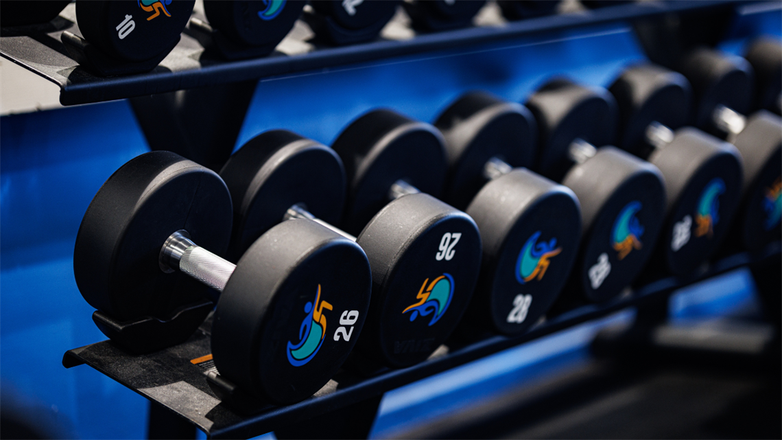 bblc-dumbells.png