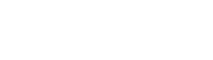 A one-color, white version of the Shoalhaven Swim Sport Fitness logo
